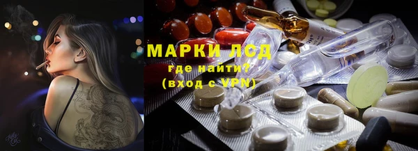 мдпв Богородицк