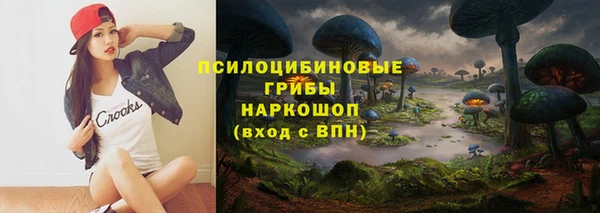 прущая мука Бородино