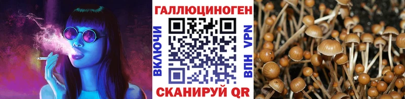 Галлюциногенные грибы Cubensis  гидра ТОР  Котельниково 
